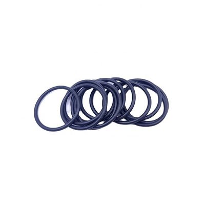 Anneaux O pour pompes à eau personnalisables 0634-900-074 Fabriqués sur demande du client et durables